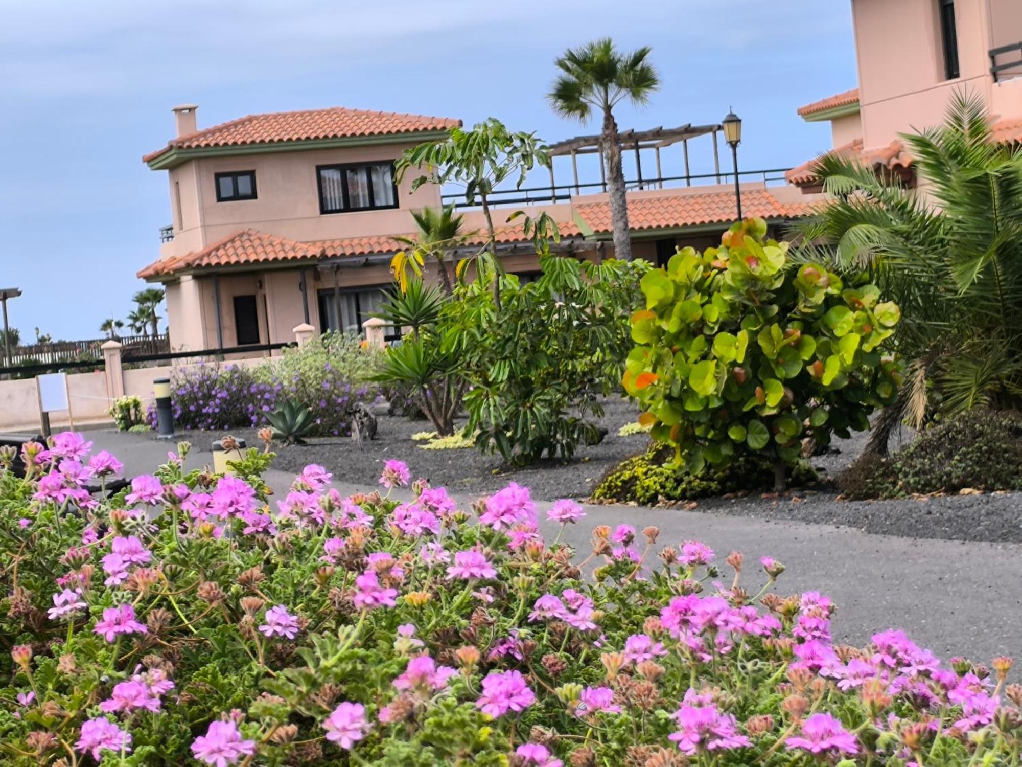 Villa Marina ลาคาเรส ภายนอก รูปภาพ
